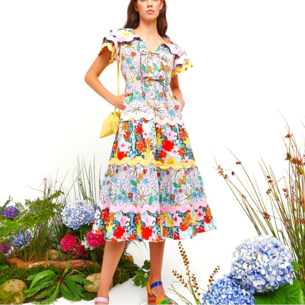 CeliaB Olav Dress size Small NWT
